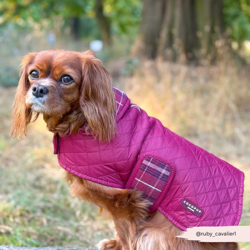 Luxe Quilted Mulberry Plaid - Vattert hundejakke