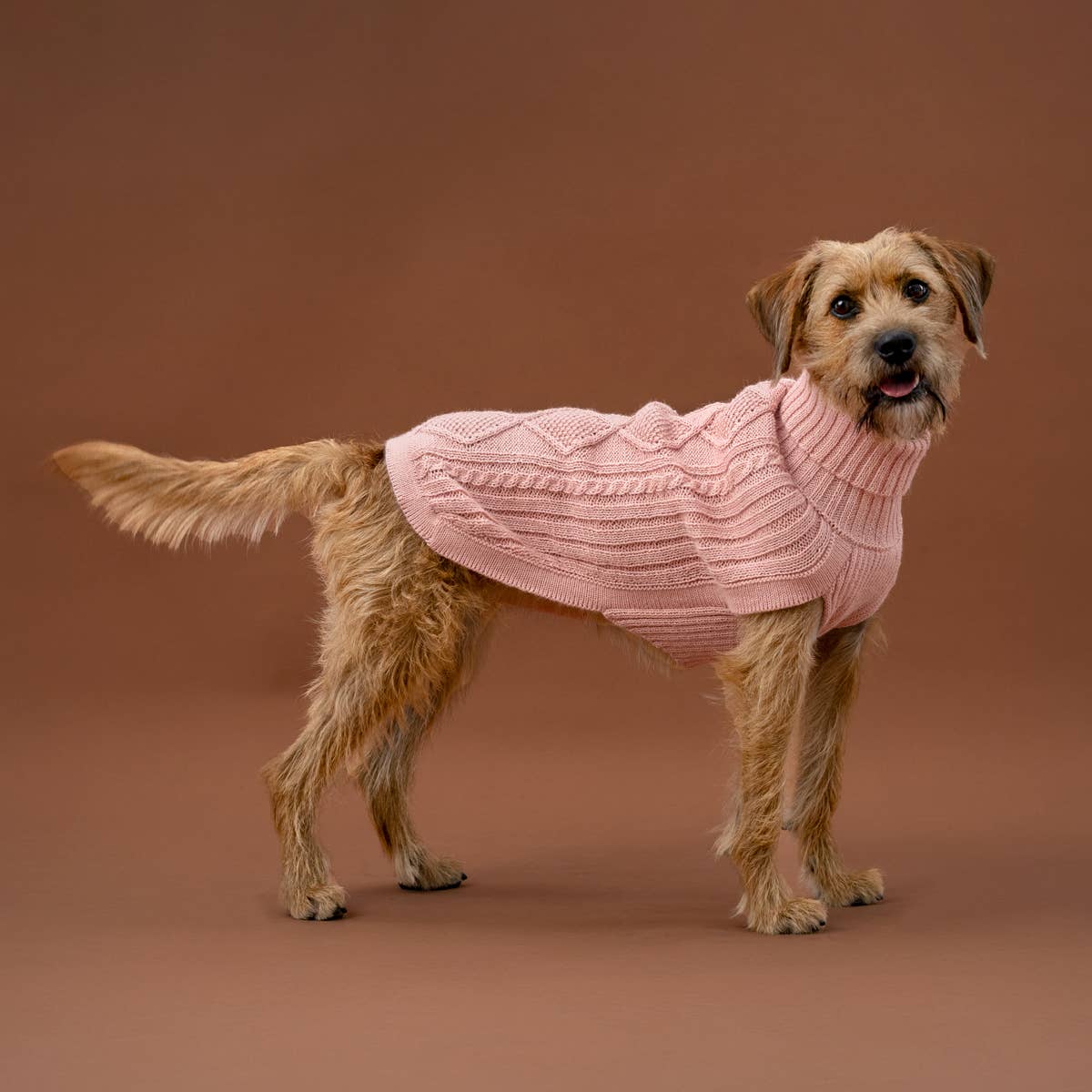 Blush Pink Aran - Alpakka ullgenser til hund