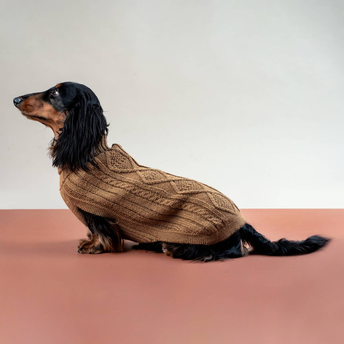 Camel Aran – Hundegenser med alpakka ull
