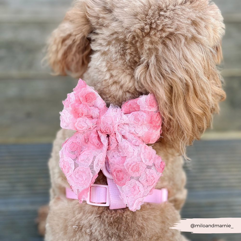 Peony Pup Sailor Bow Tie - Hundesløyfe