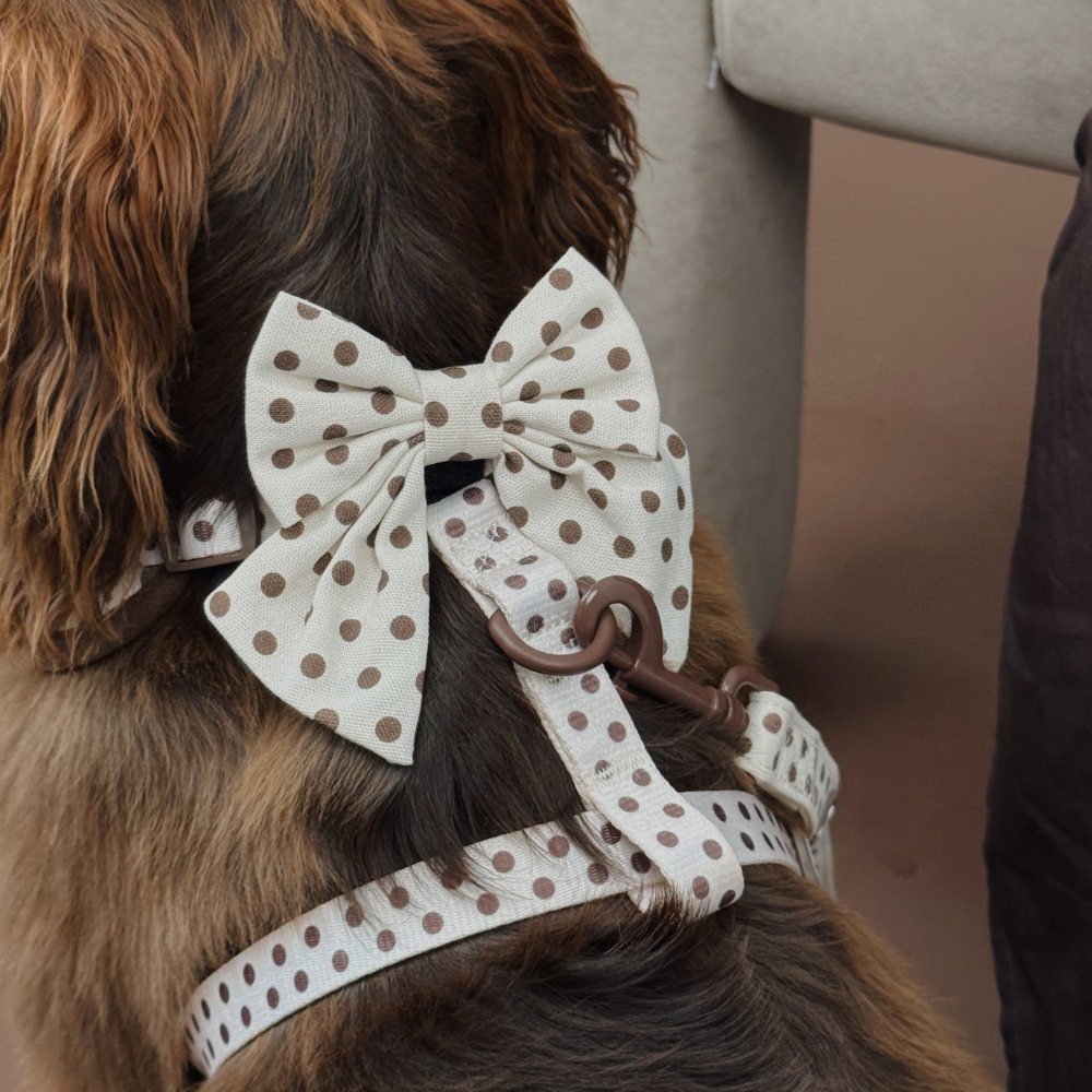 Tiramisu Polka Dot Sailor Bow Tie - Hundesløyfe