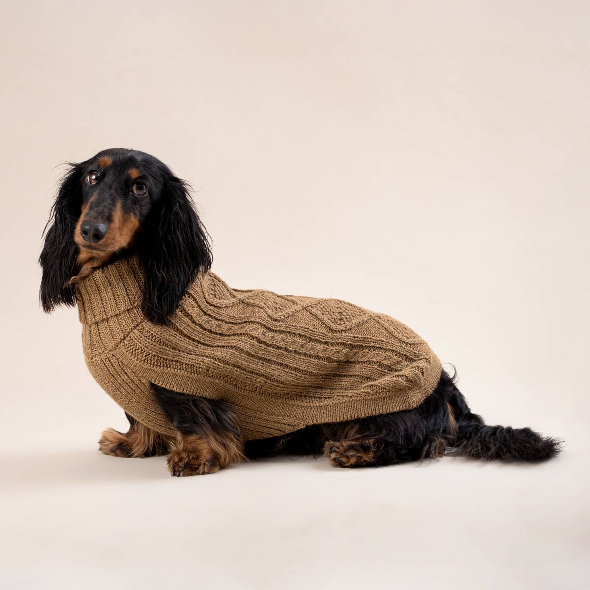 Camel Aran – Hundegenser med alpakka ull