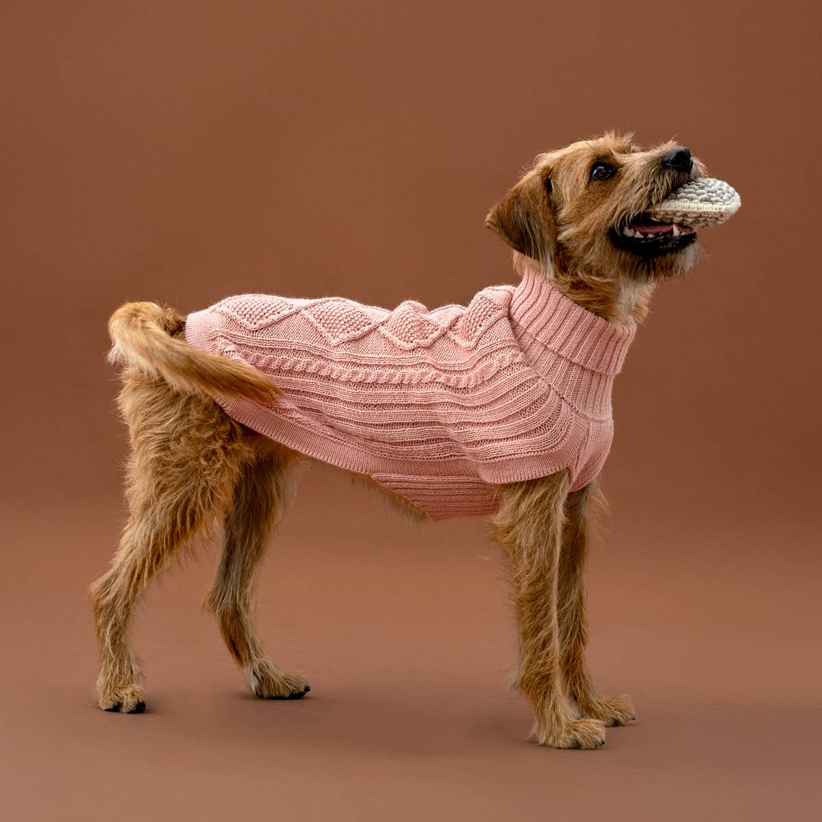 Blush Pink Aran - Alpakka ullgenser til hund