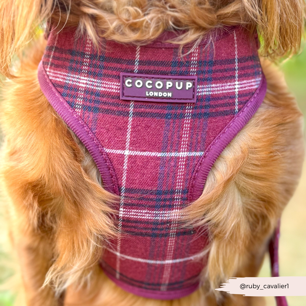 Mulberry Plaid - Justerbar hundesele