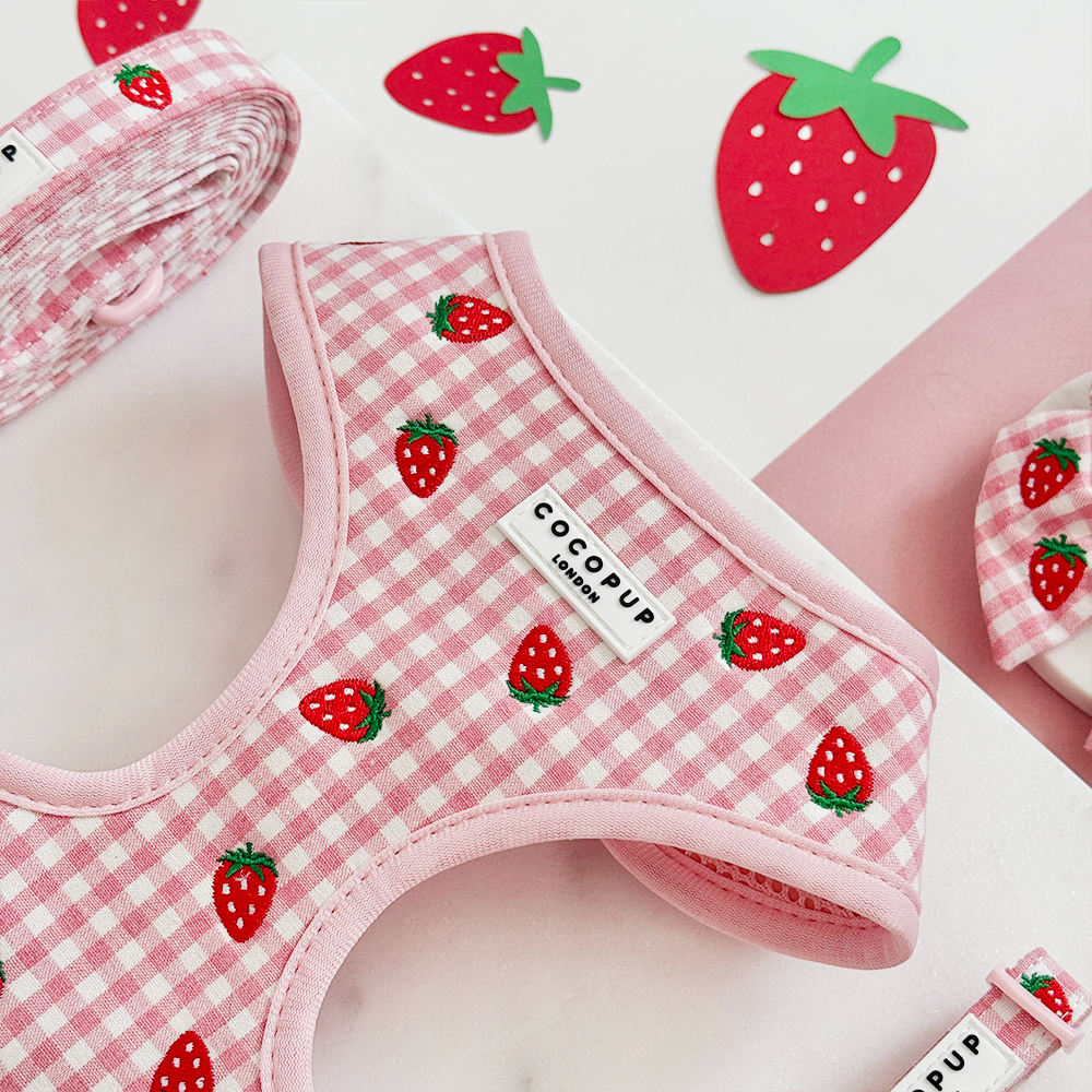 Strawberry Picnic Pup - Hundesele