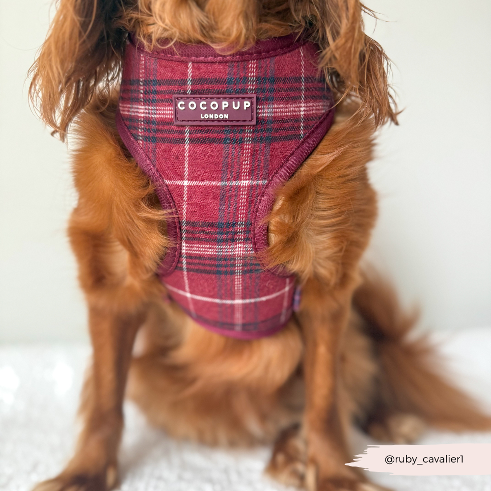 Mulberry Plaid - Justerbar hundesele