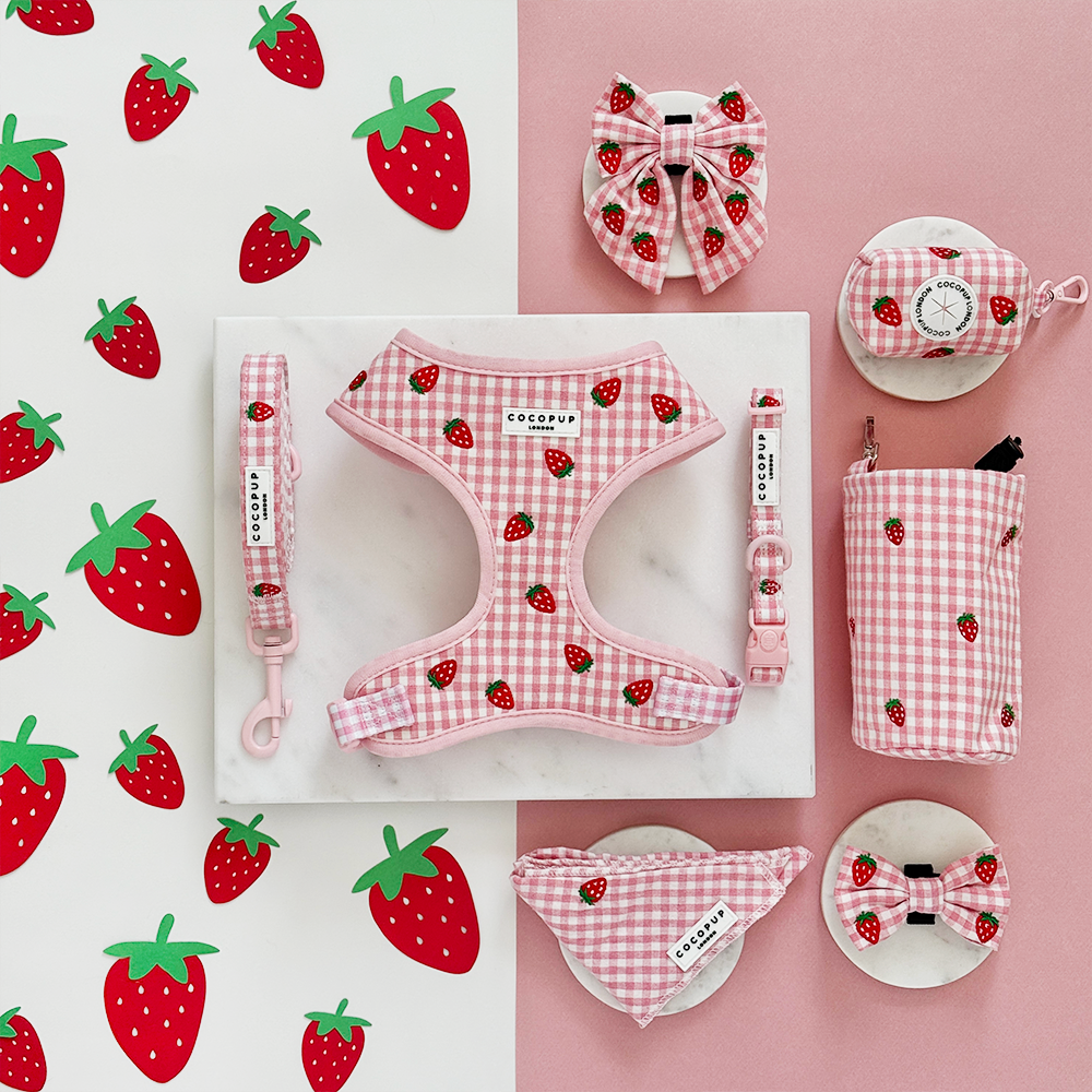 Strawberry Picnic Pup - Hundesele
