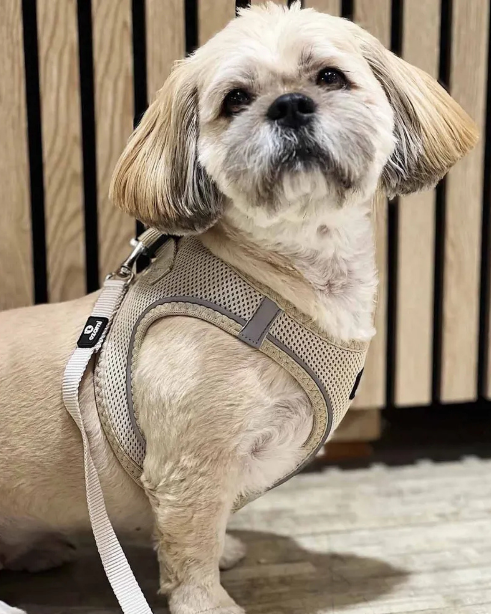 Air-Mesh Harness - Step-in hundesele | Beige
