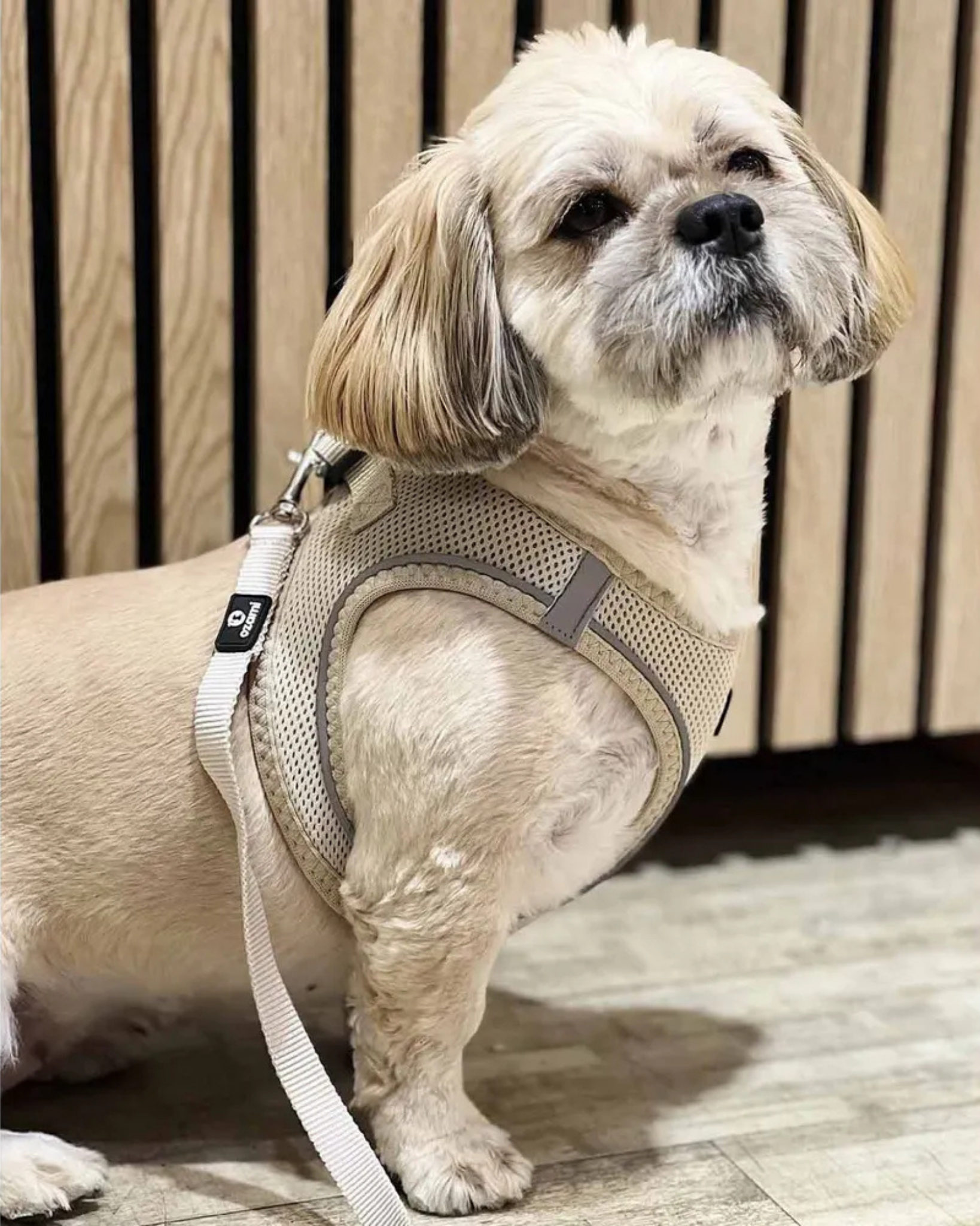 Air-Mesh Leash – Hundebånd / Kobbel | Beige