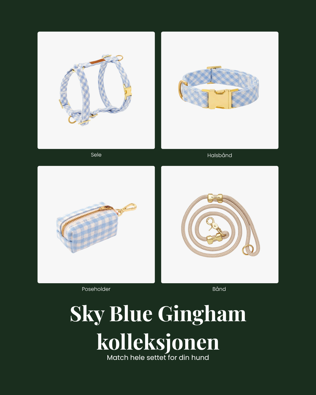 Sky Blue Gingham - Hundeposeholder