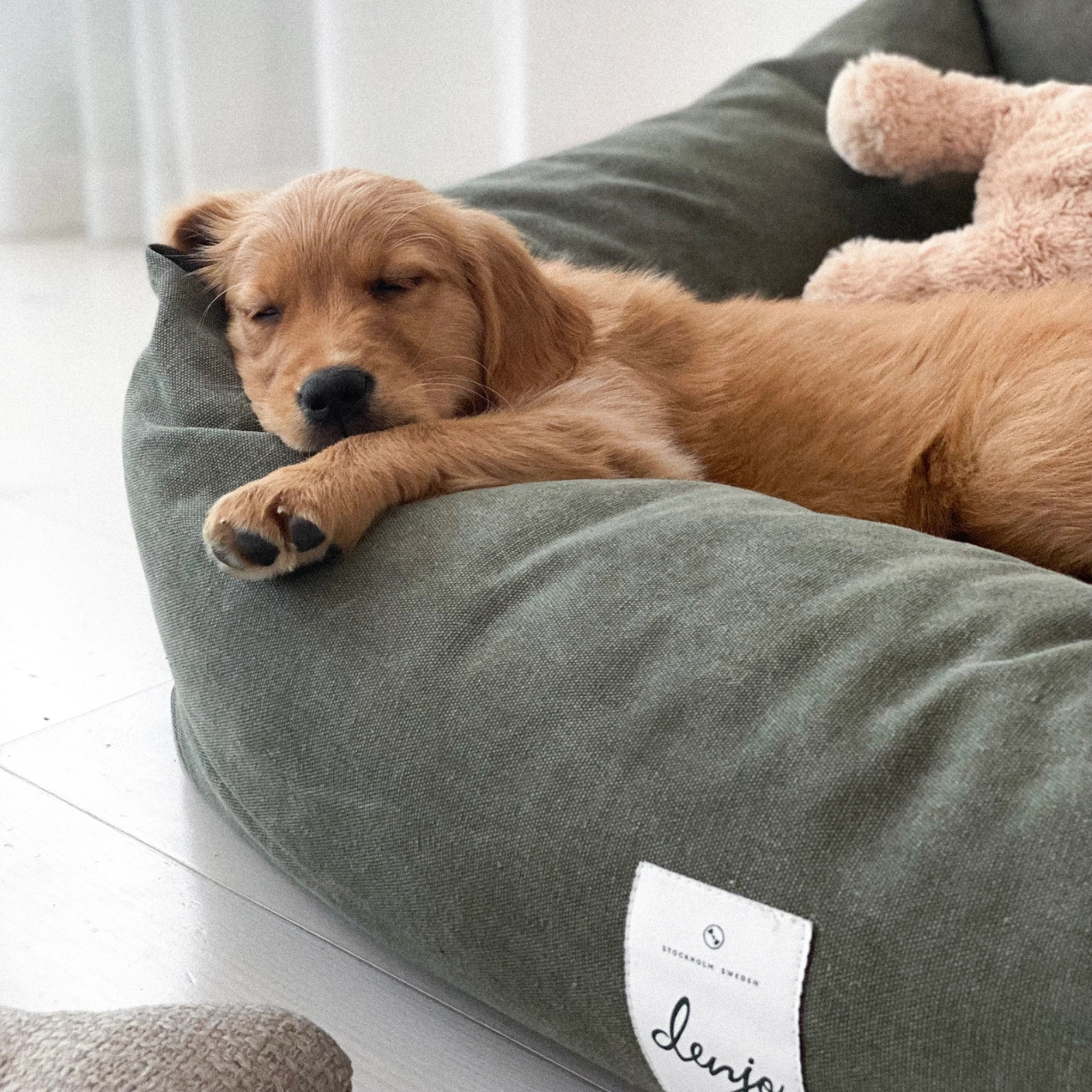 Classic Nest Desert Green - Hundeseng i bomullscanvas