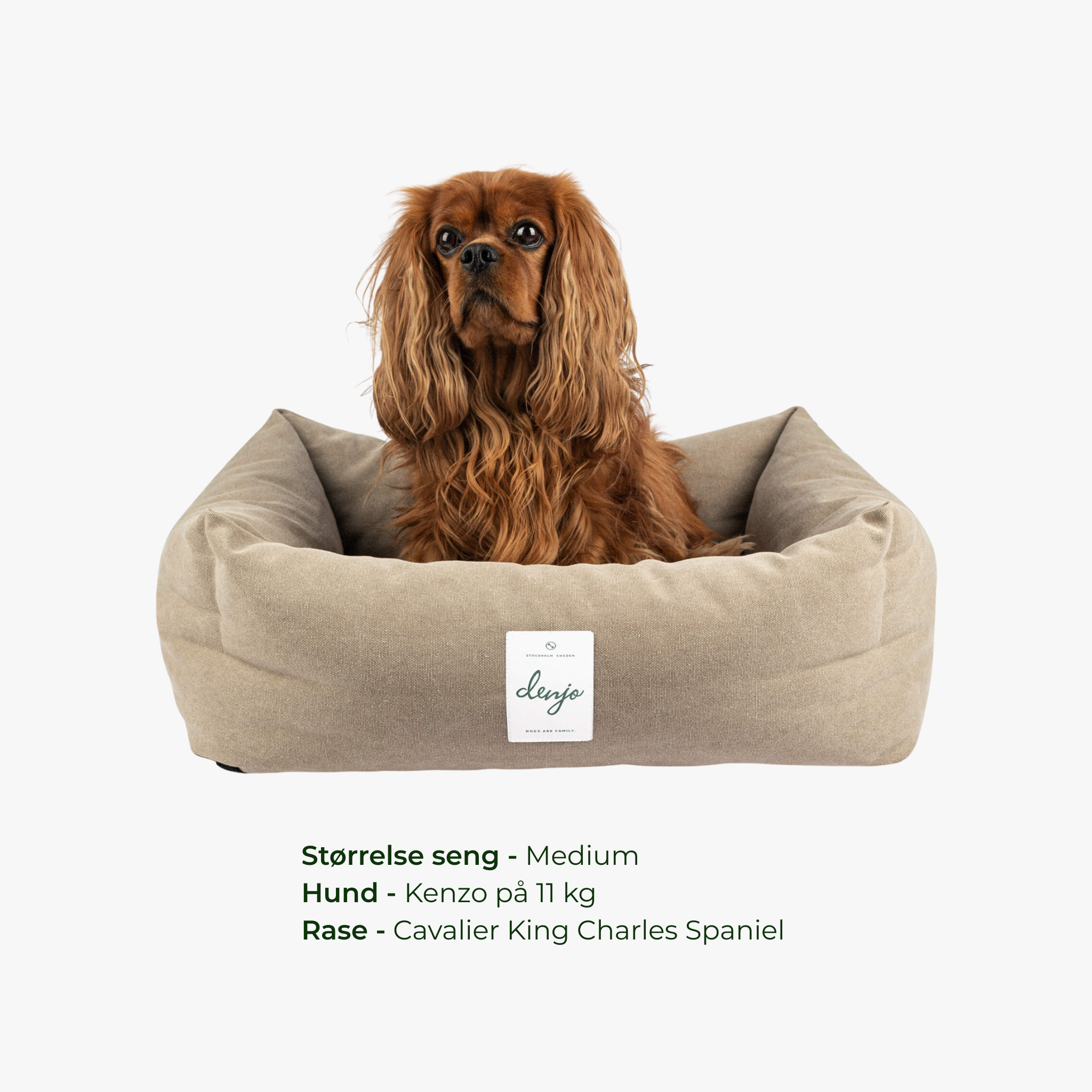 Classic Nest Sand Beige - Hundeseng i bomullscanvas