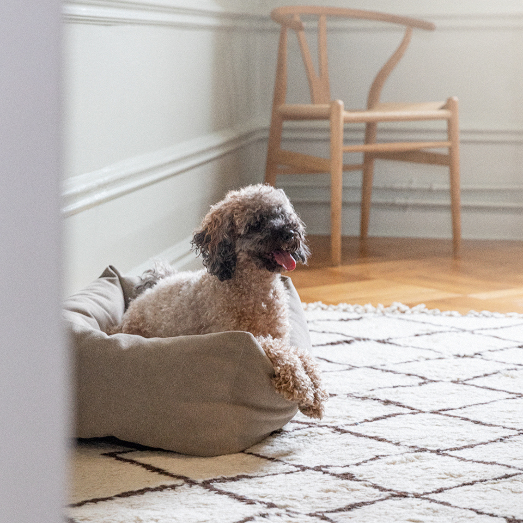 Classic Nest Sand Beige - Hundeseng i bomullscanvas