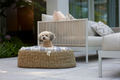 Lazy Linen Stripes Natural/Blue - Hundeseng