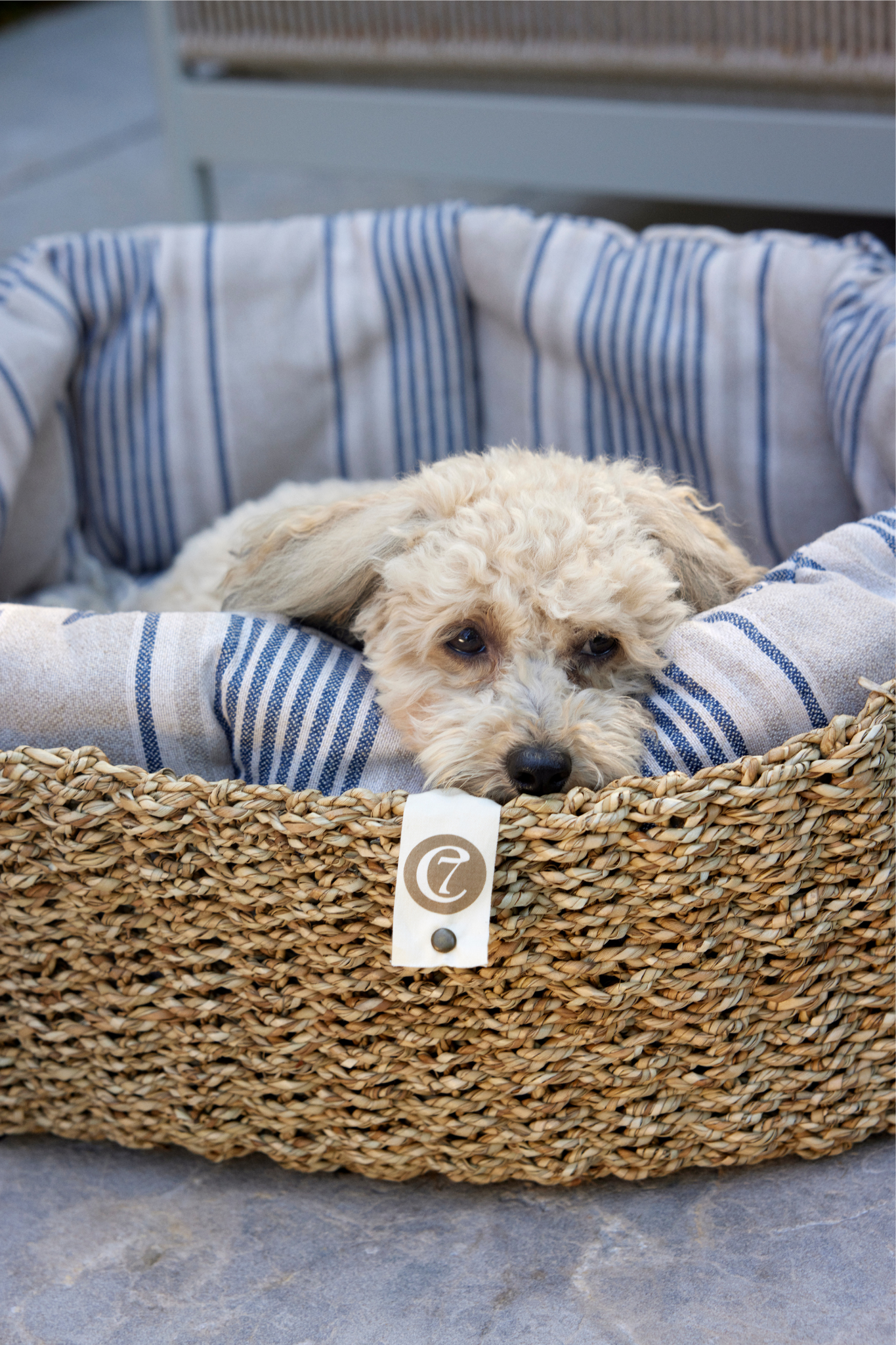 Lazy Linen Stripes Natural/Blue - Hundeseng