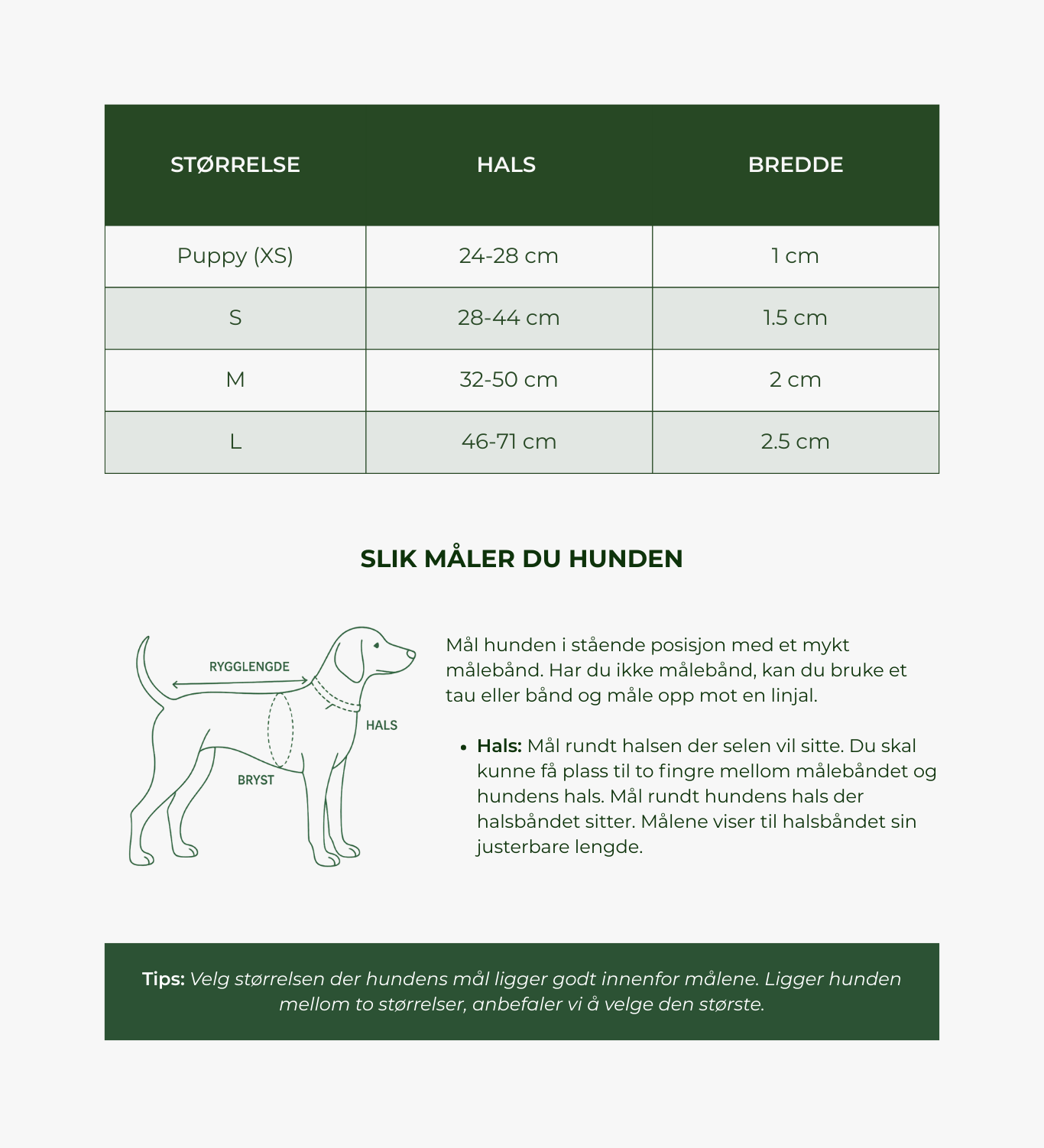 Chai Hearts – Hundehalsbånd