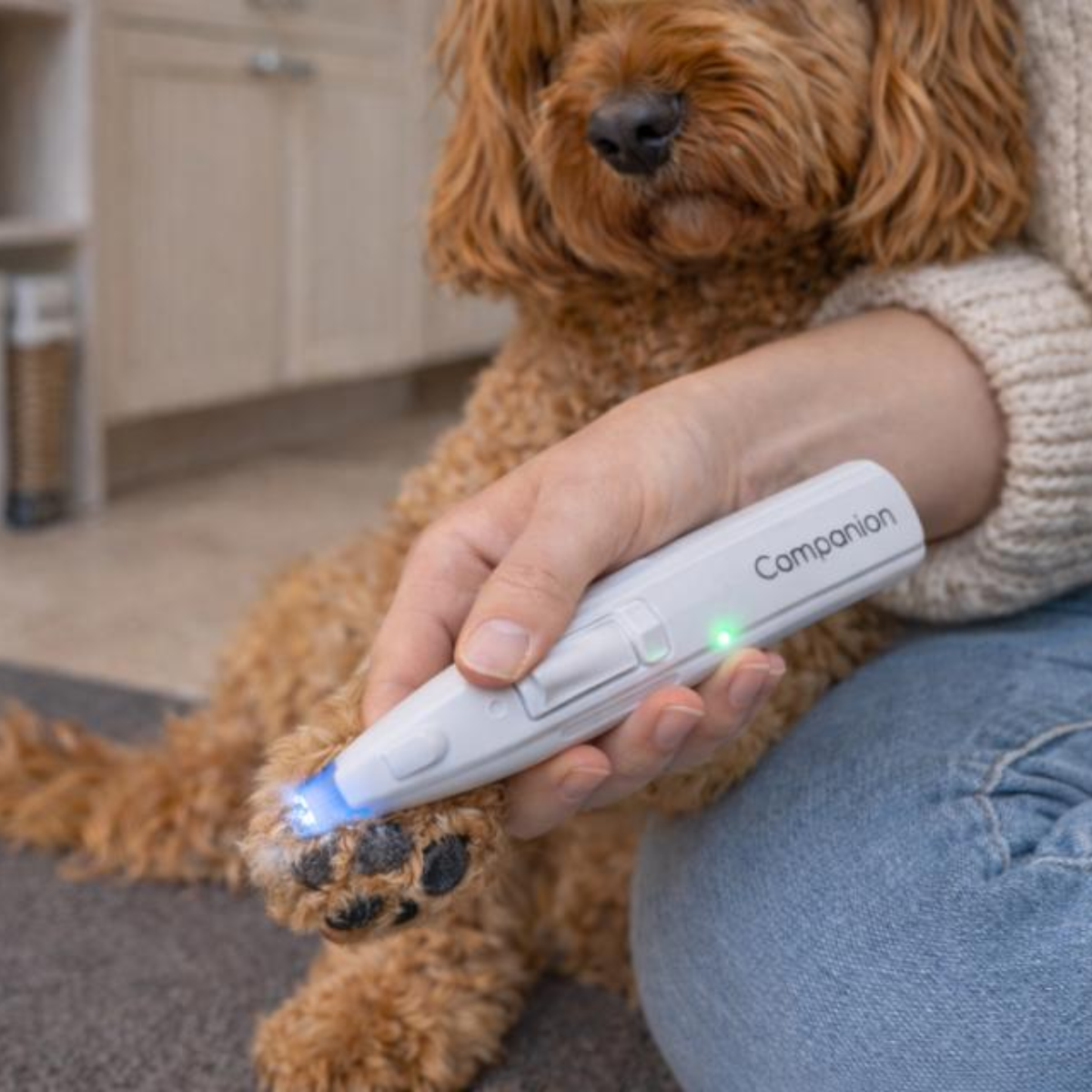 Companion - Potetrimmer m/lys