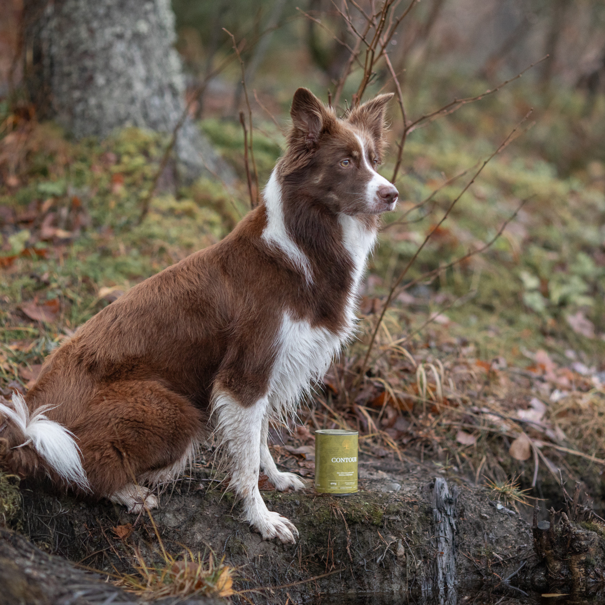 Essential Contour Pâté – Våtfôr til hund | 400g
