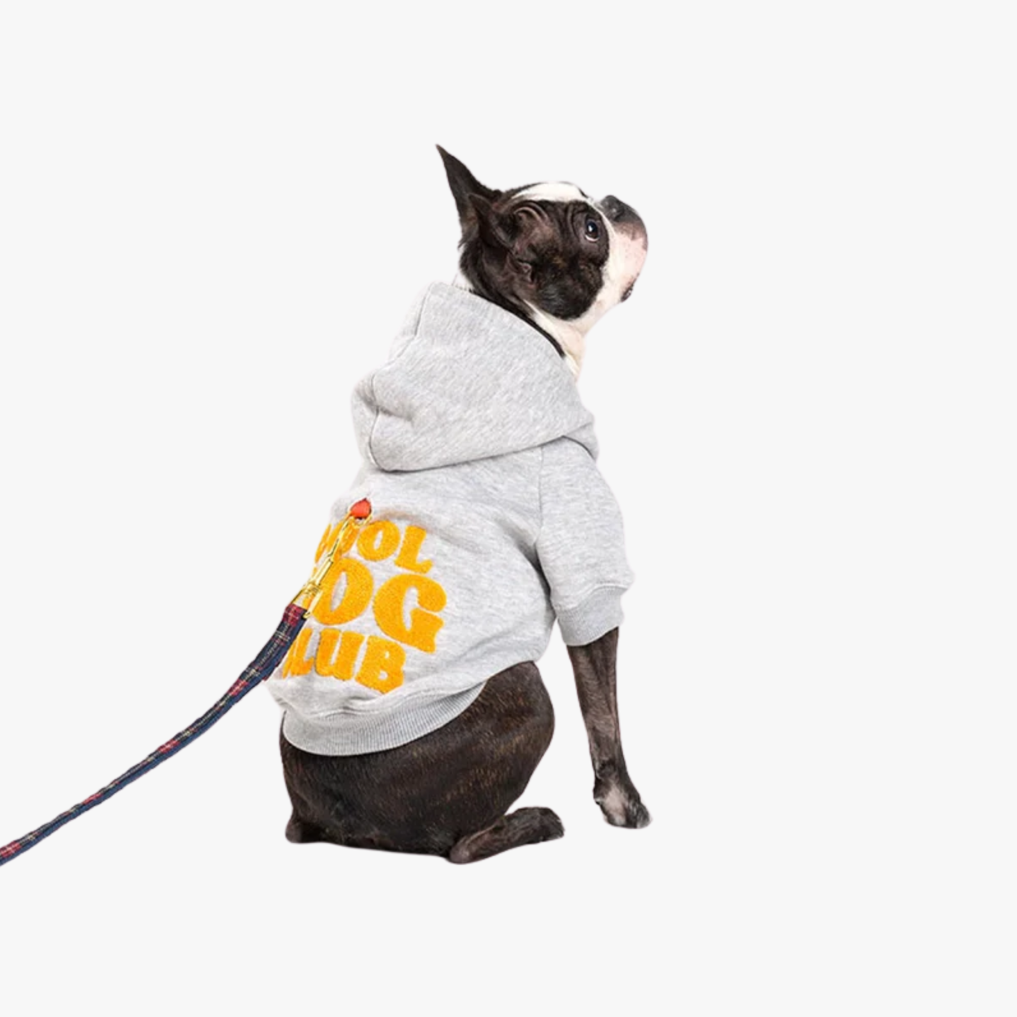 COOL DOG CLUB grå hettegenser m/brodering