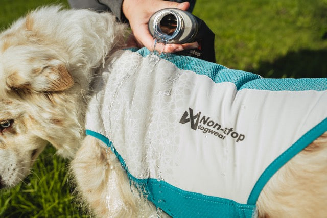 Cooling pull-on vest - Kjølevest