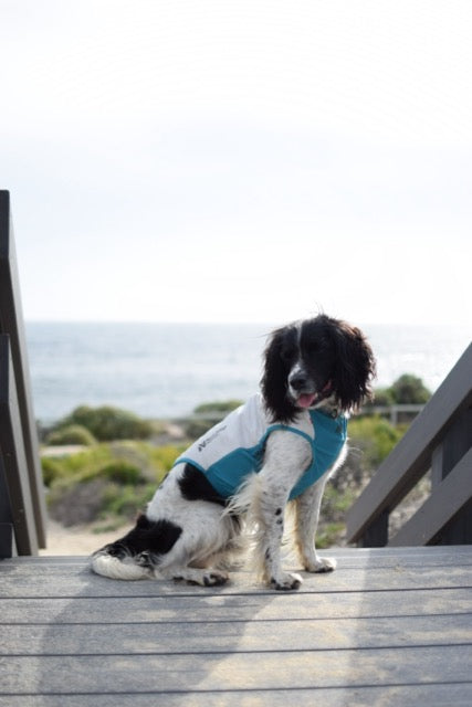 Cooling pull-on vest - Kjølevest