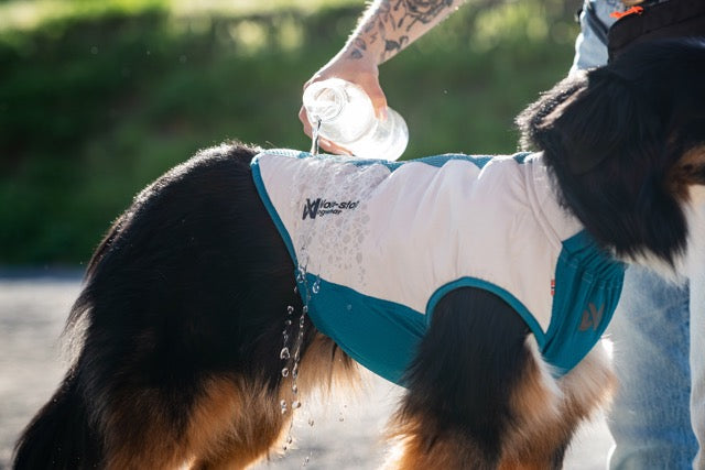 Cooling pull-on vest - Kjølevest