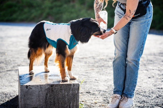 Cooling pull-on vest - Kjølevest