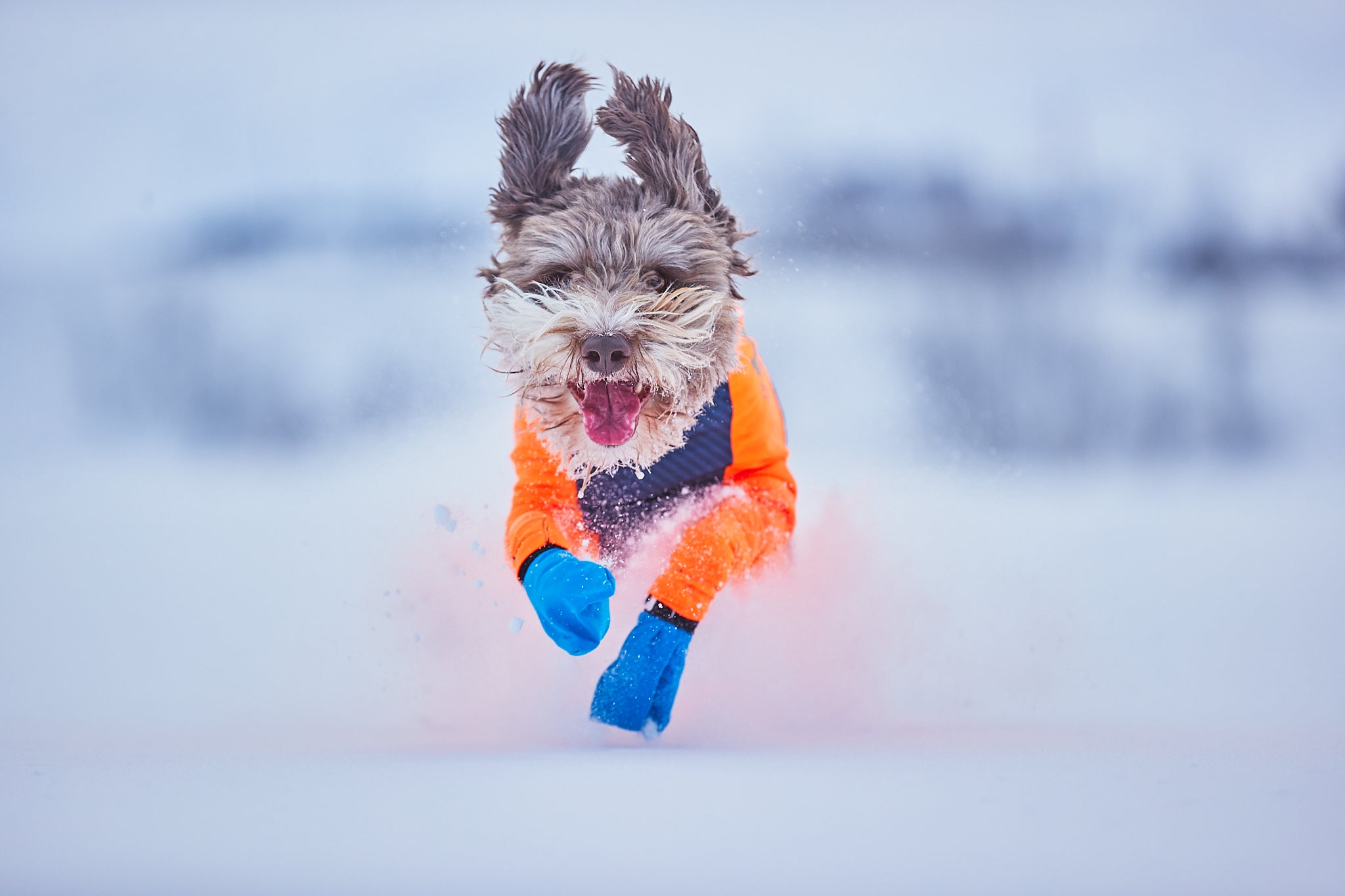 Protector snow - Heldress mot snø, is, kulde og vind
