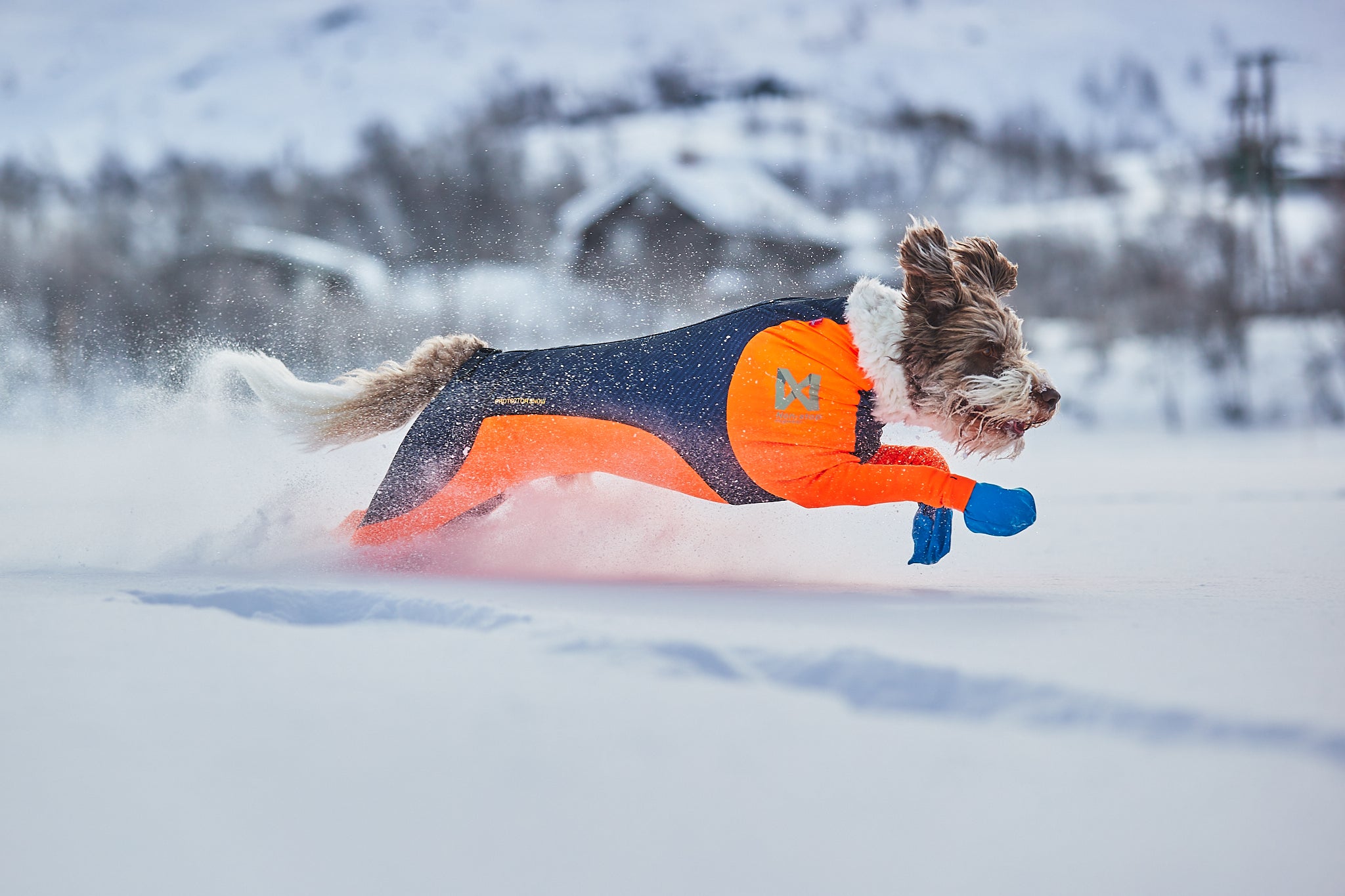 Protector snow - Heldress mot snø, is, kulde og vind