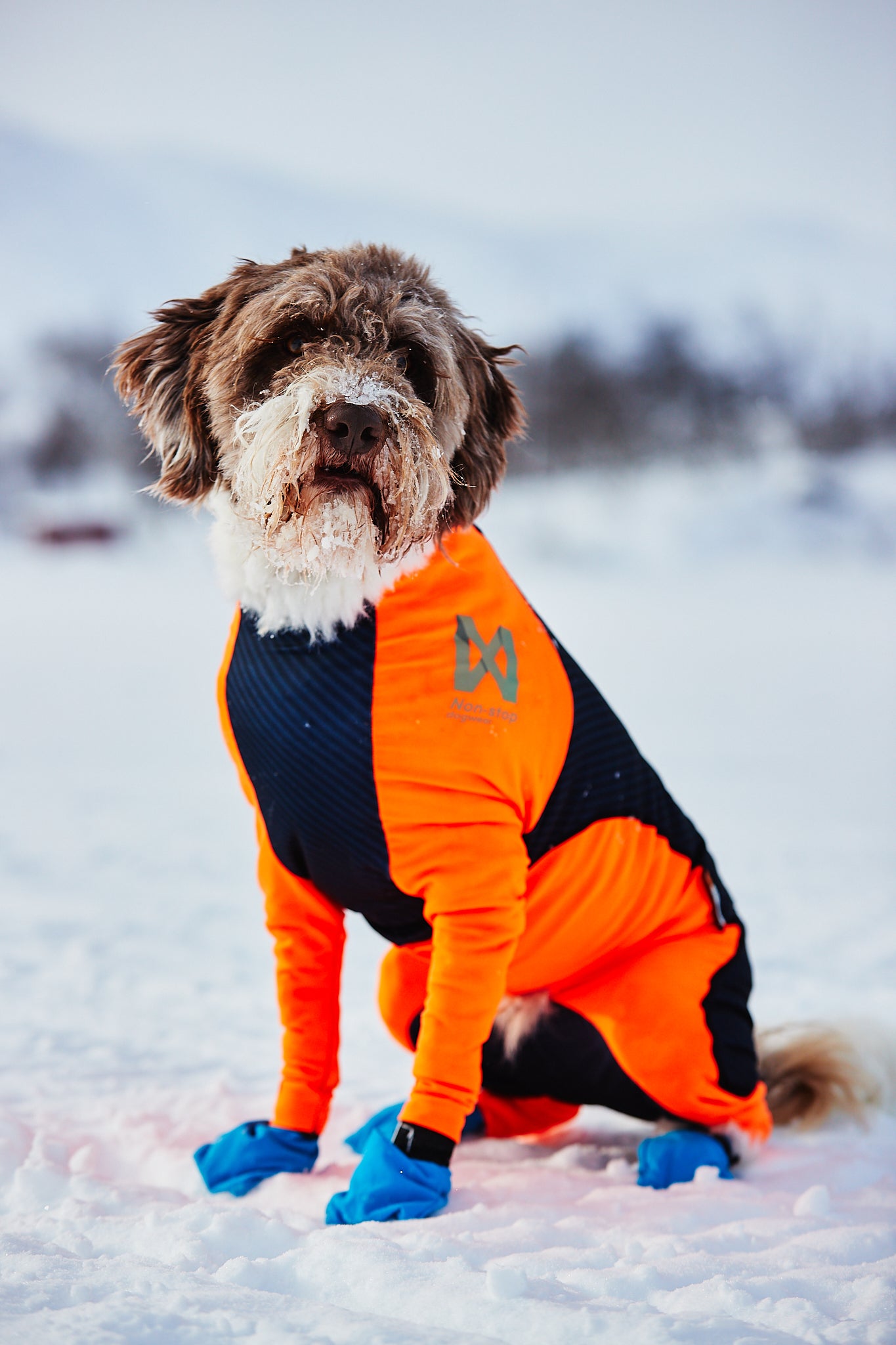 Protector snow - Heldress mot snø, is, kulde og vind