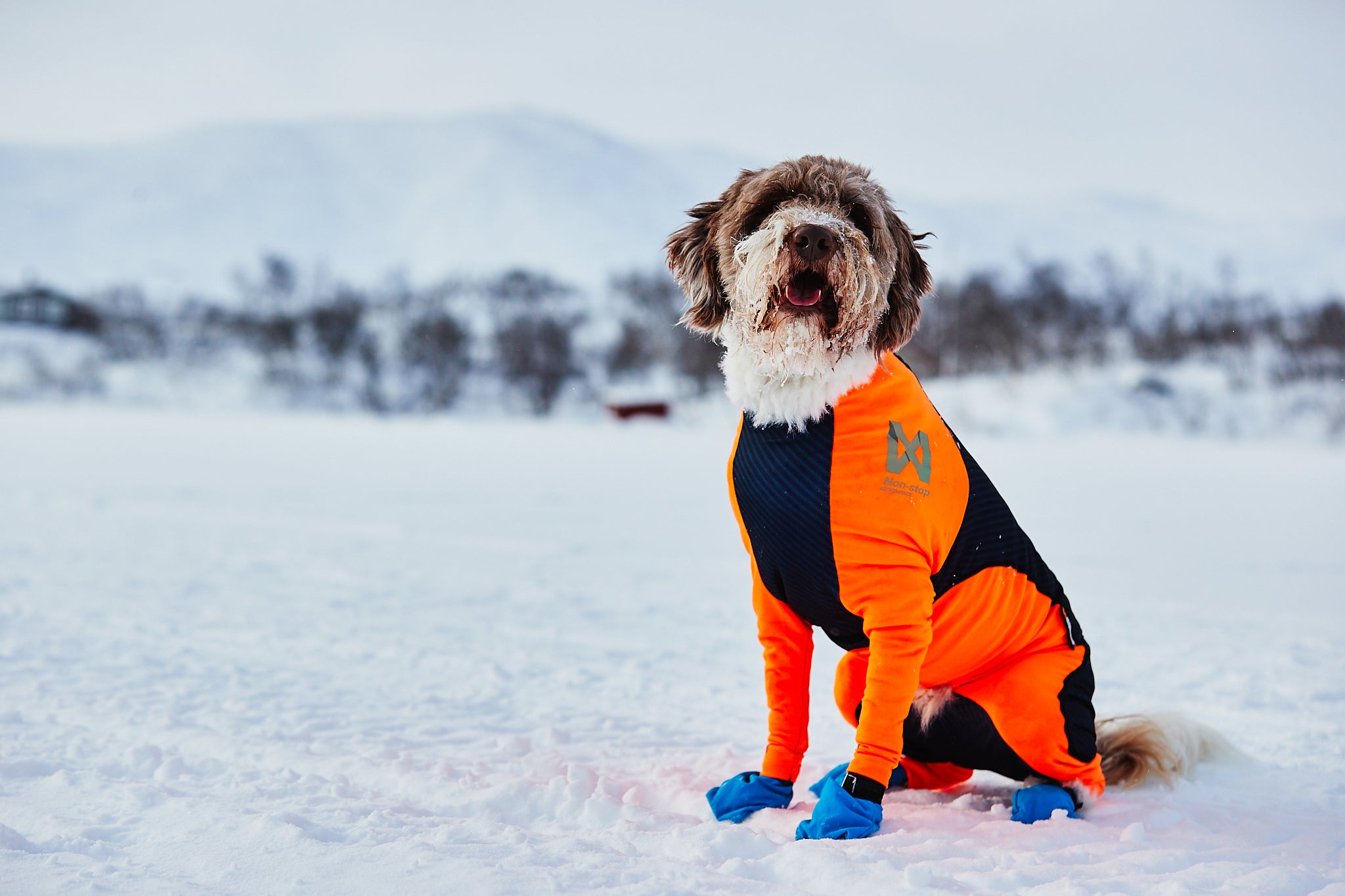 Protector snow - Heldress mot snø, is, kulde og vind