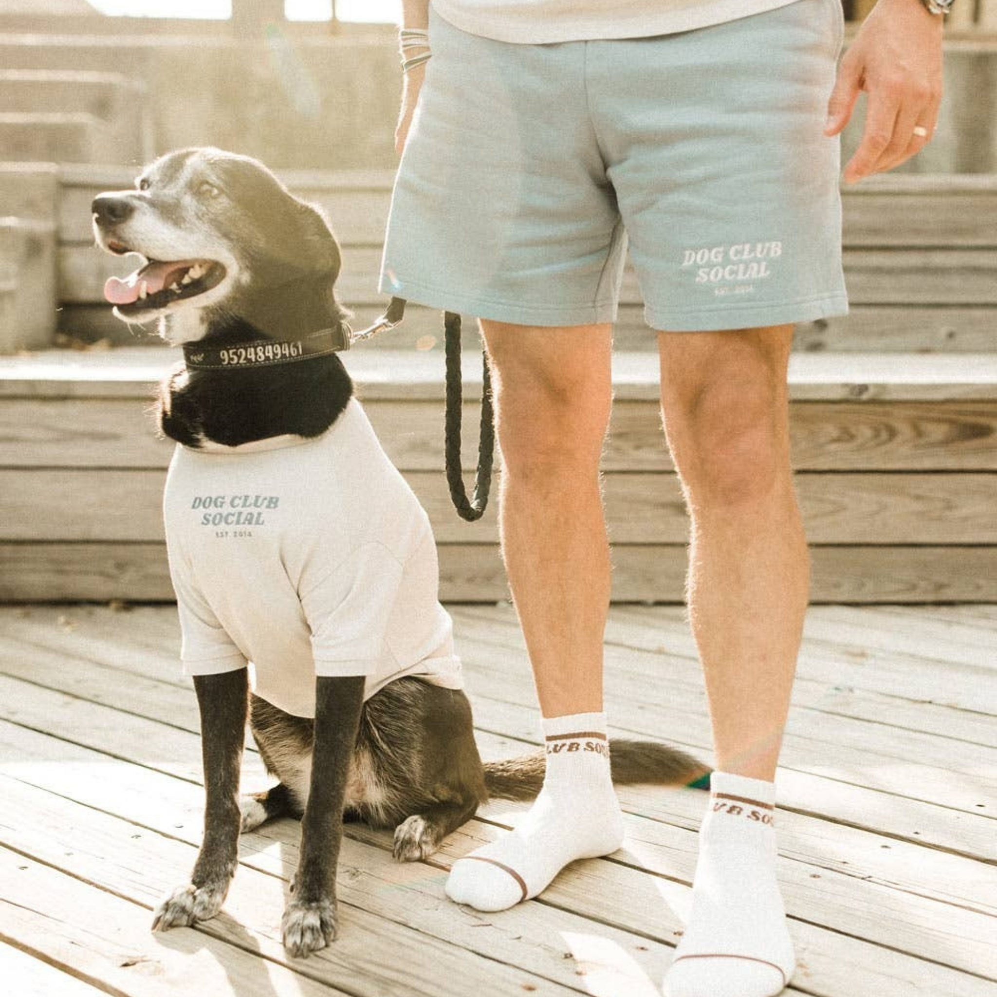 Dog Club Social Pullover