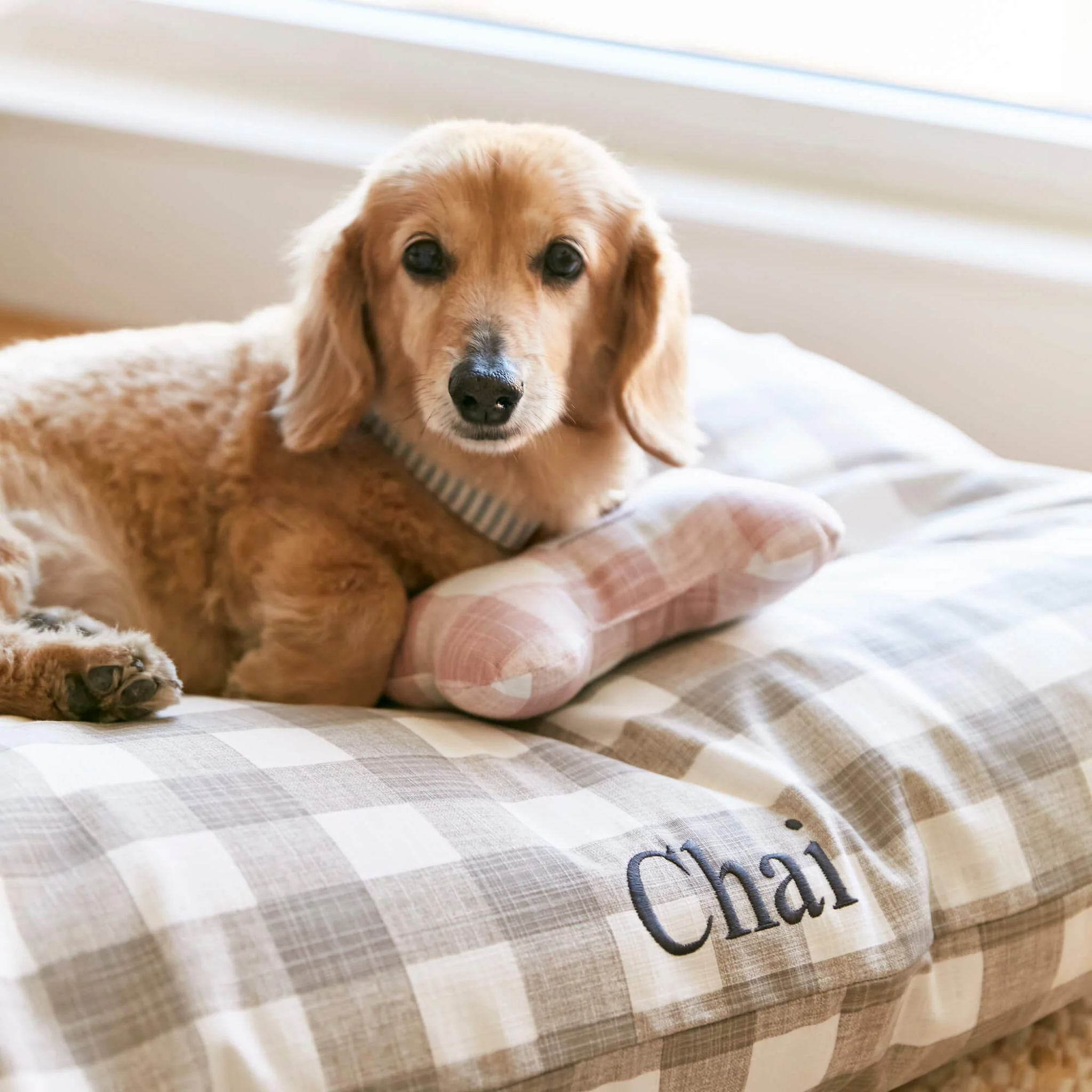 Blush Pink Gingham Dog Bone - Pipeleke i stoff