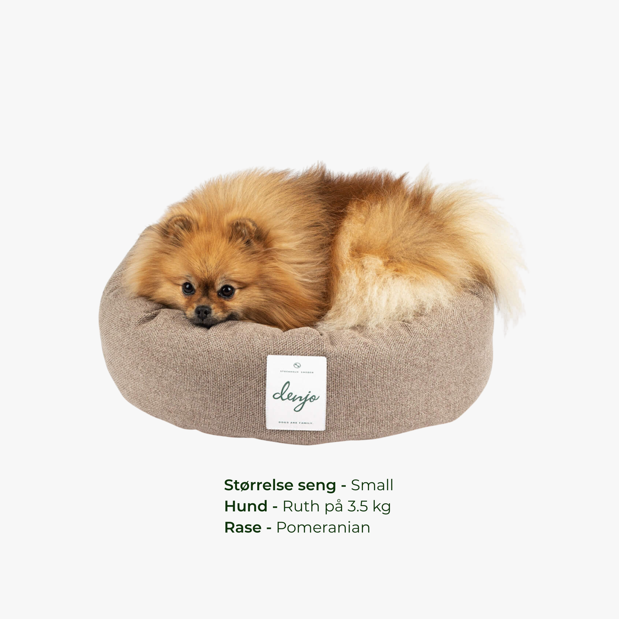 Donut Icon - Rund hundeseng