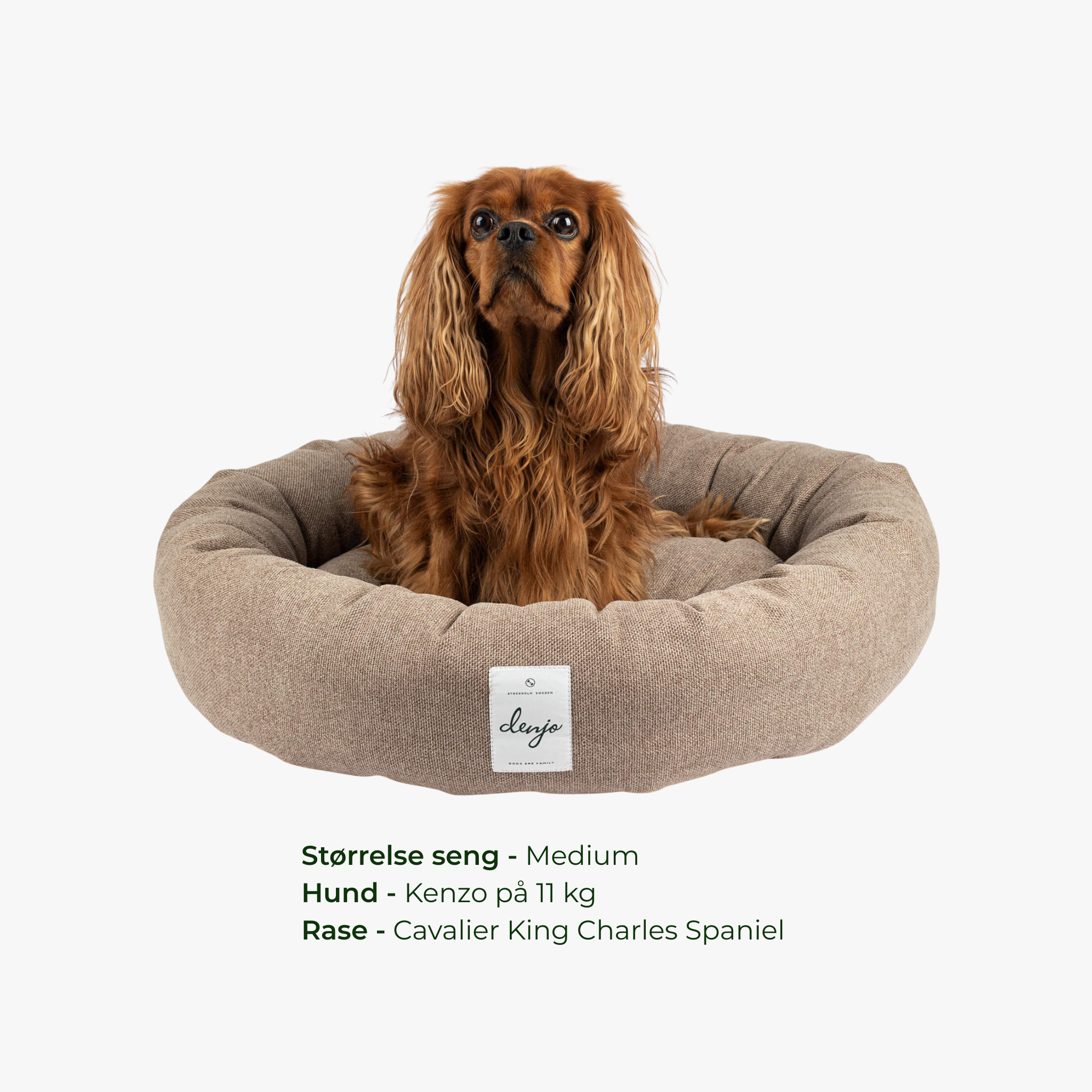 Donut Icon - Rund hundeseng