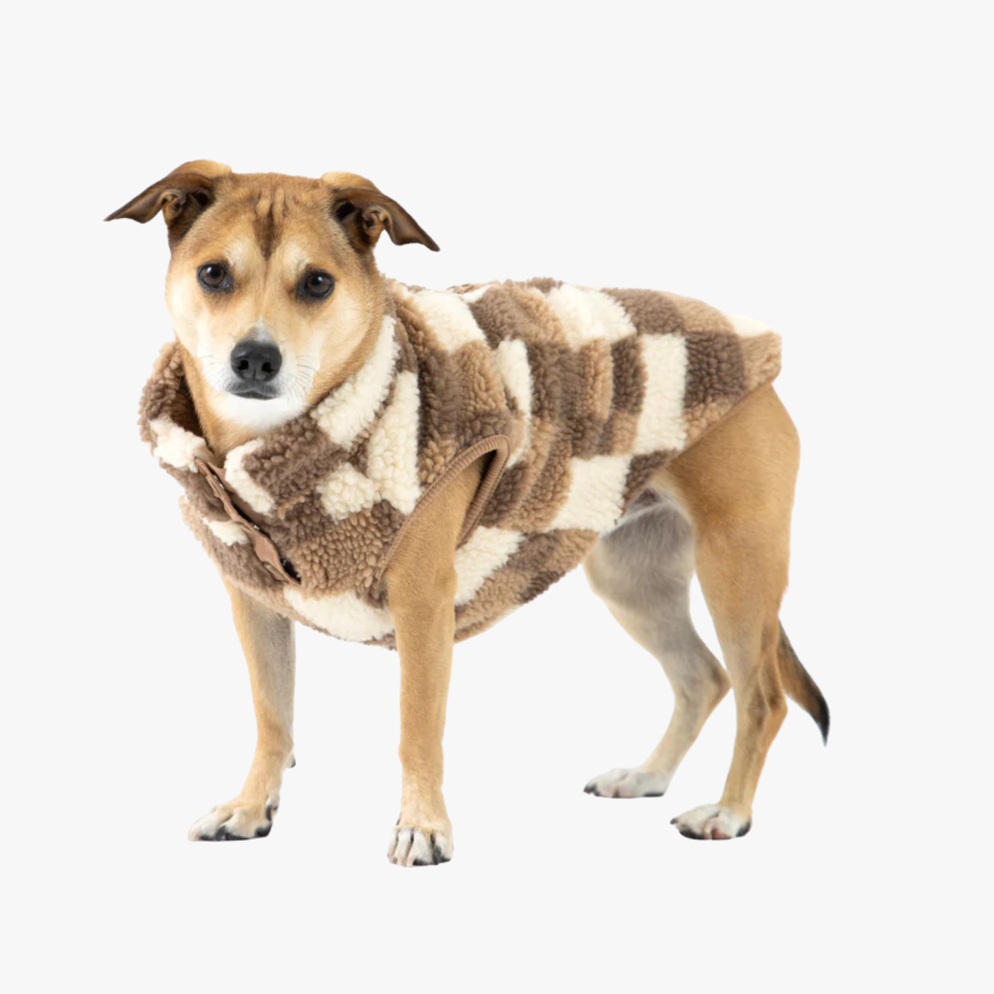 Fab Ski Sherpa - Hundevest