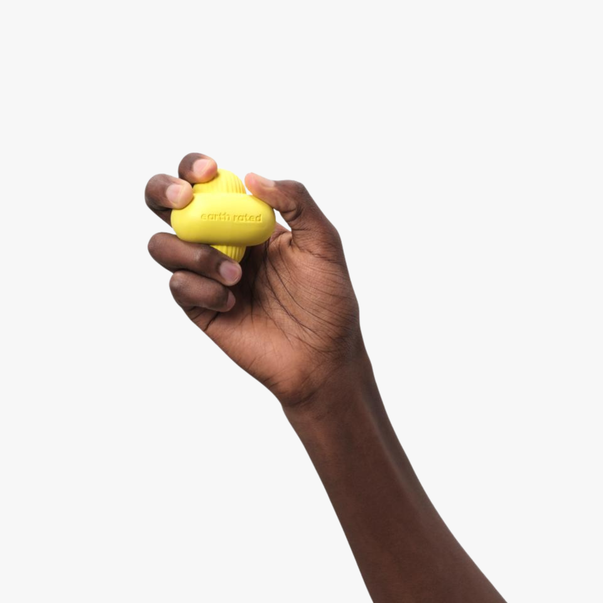 Fetch Toy - Hundeleke