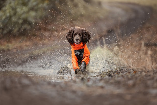 Fjord overall raincoat - Heldekkende regndekken