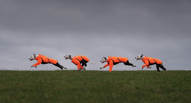 Fjord overall raincoat - Heldekkende regndekken