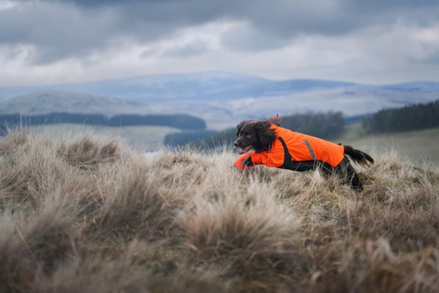 Fjord overall raincoat - Heldekkende regndekken