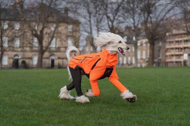 Fjord overall raincoat - Heldekkende regndekken