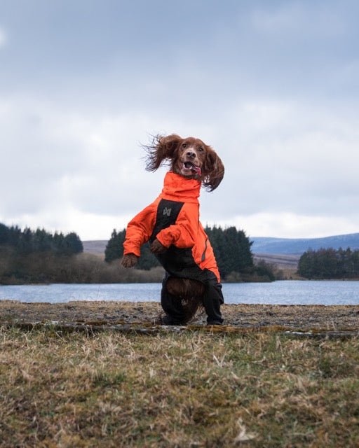 Fjord overall raincoat - Heldekkende regndekken