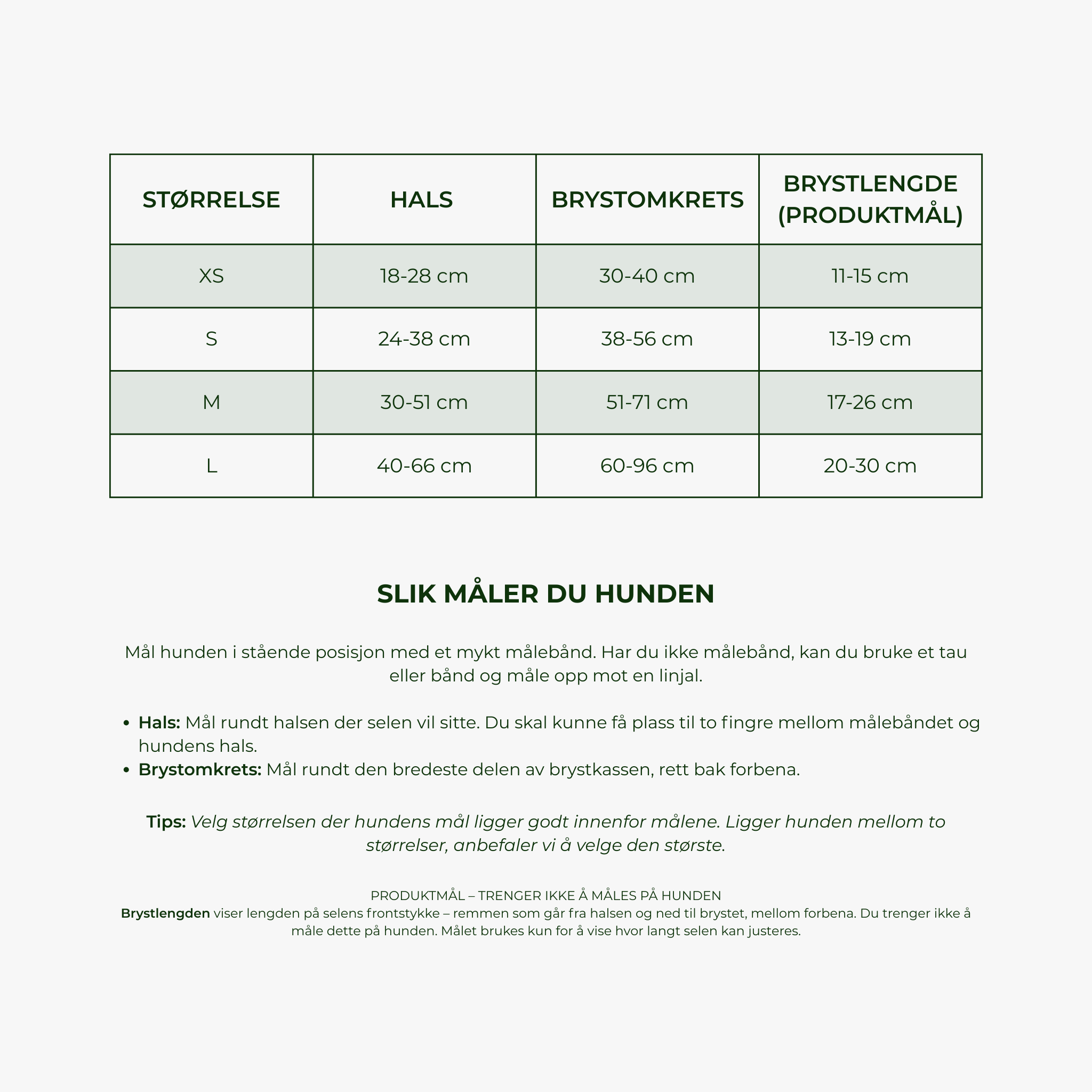 Brown and Tan – Hundesele