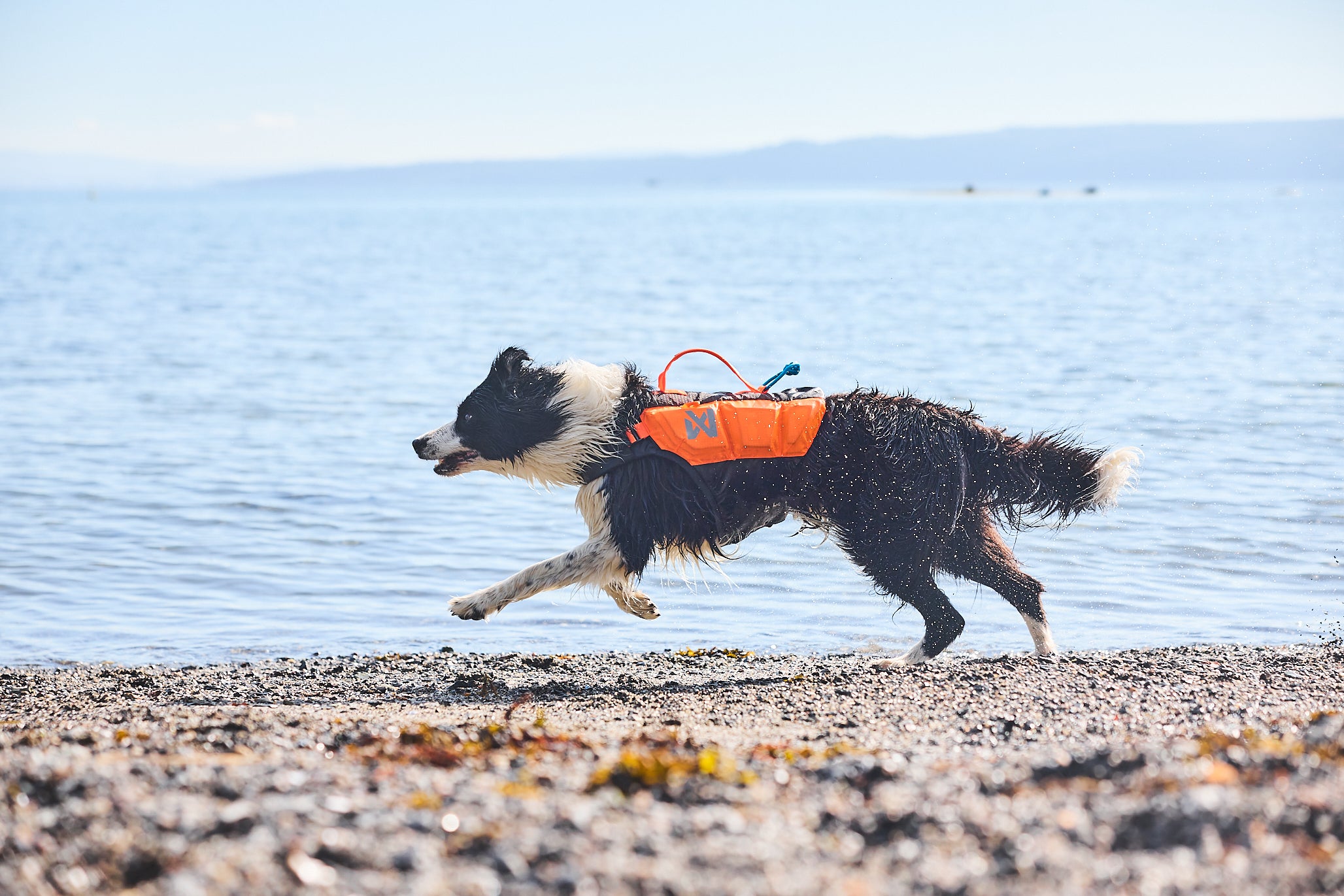 Protector life jacket - Redningsvest til hund