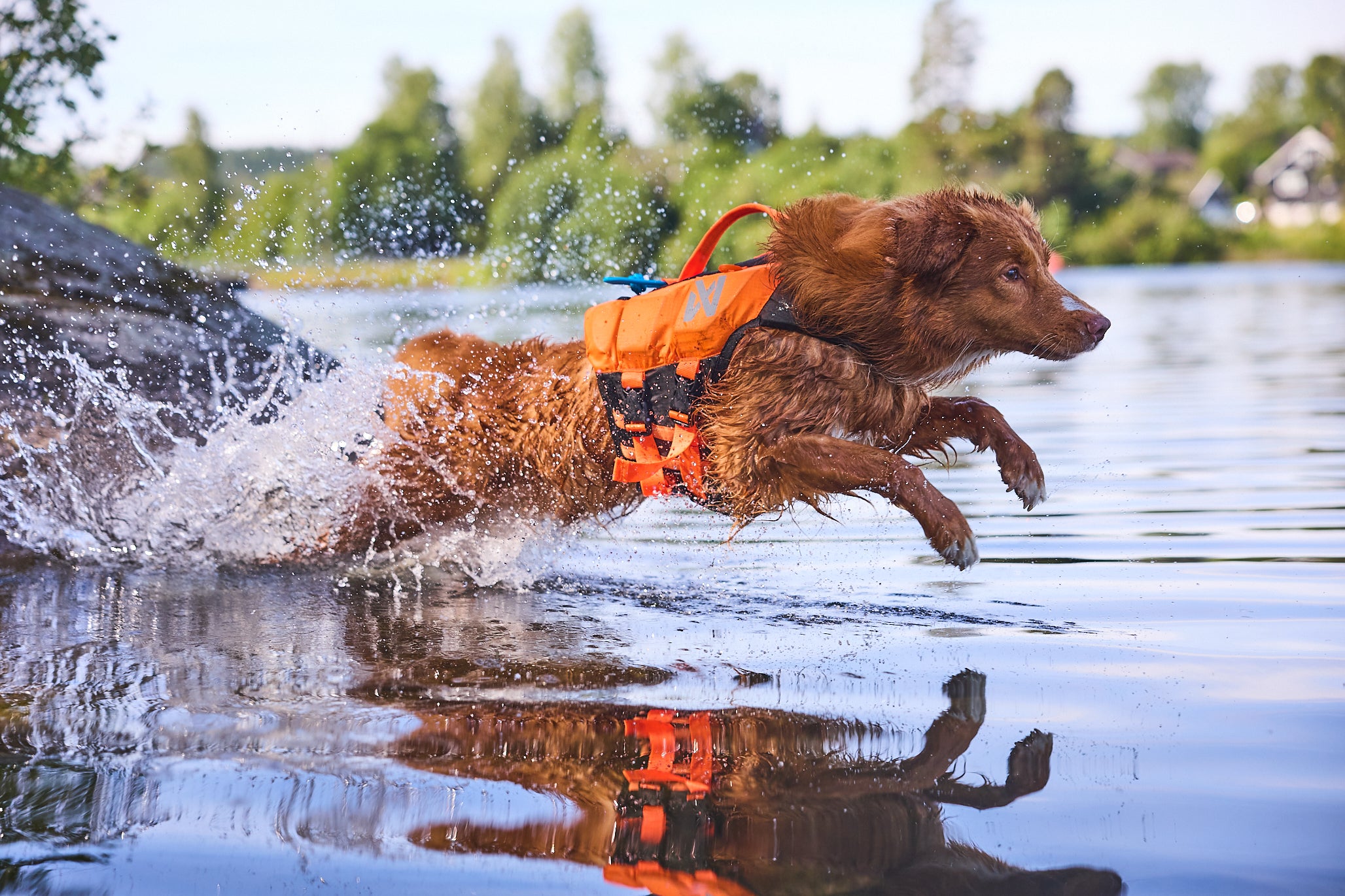Protector life jacket - Redningsvest til hund