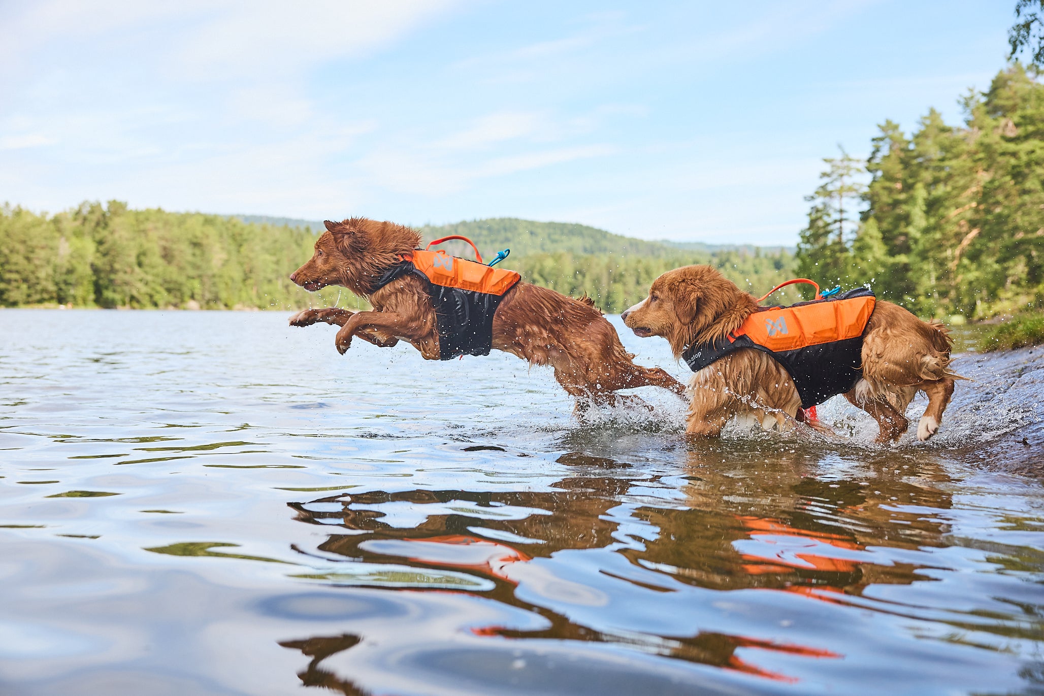 Protector life jacket - Redningsvest til hund