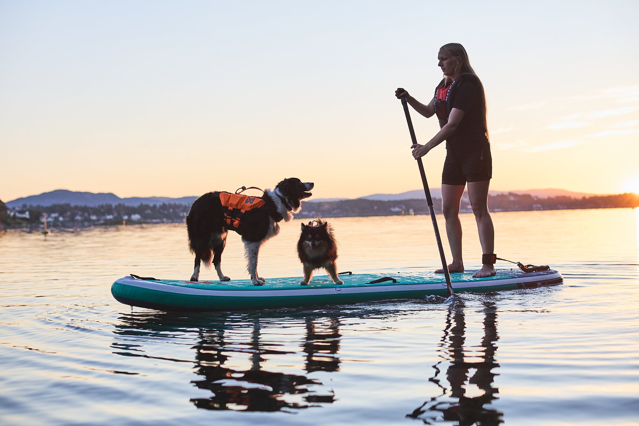 Protector life jacket - Redningsvest til hund
