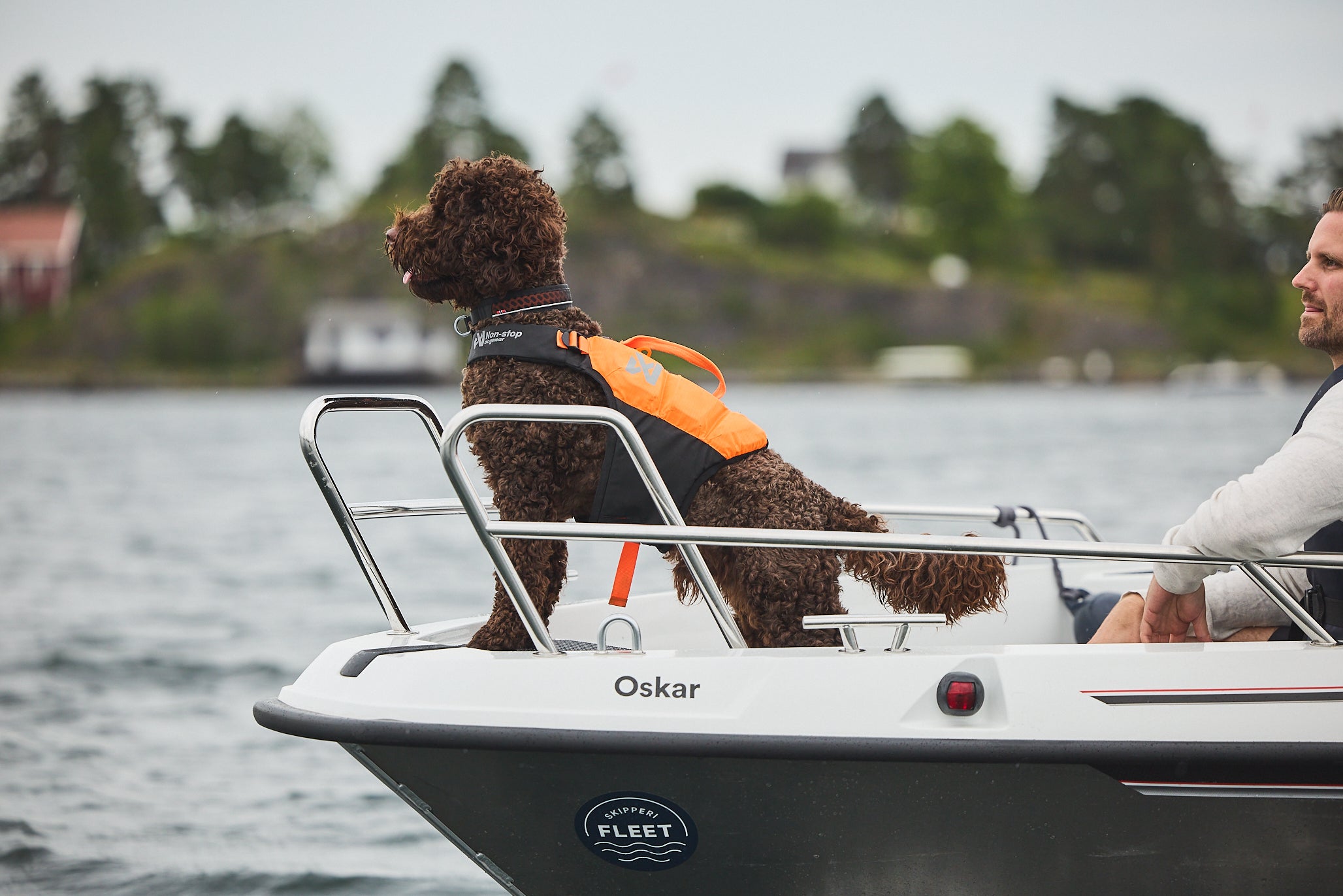 Protector life jacket - Redningsvest til hund