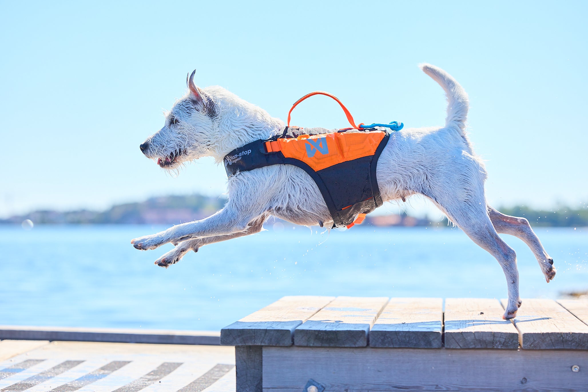 Protector life jacket - Redningsvest til hund