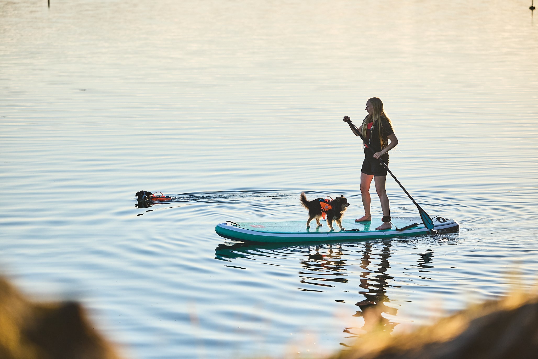 Protector life jacket - Redningsvest til hund